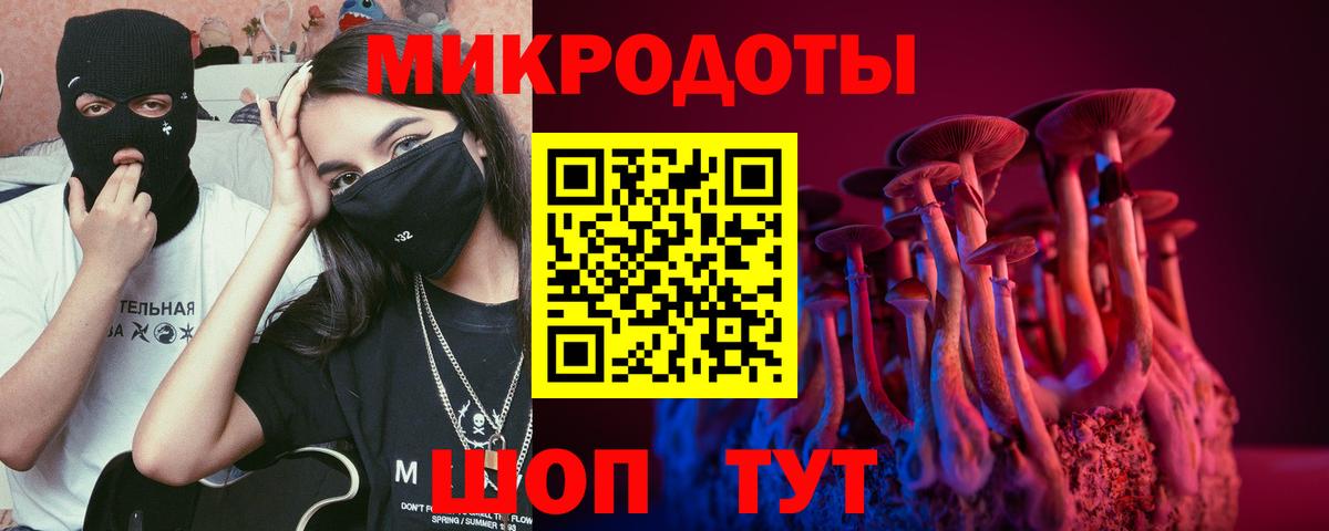 Псилоцибиновые грибы GOLDEN TEACHER  Вход с VPN  где купить наркоту  Грозный  Галлюциногенные грибы MAGIC MUSHROOMS 